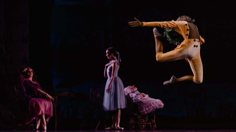 xuan-nguyen-694664-unsplash_800x450_acf_cropped